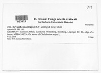 Image Associated With the Occurence